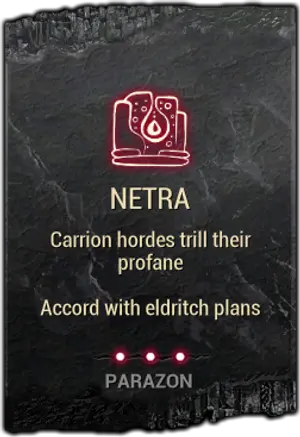 Netra mod card