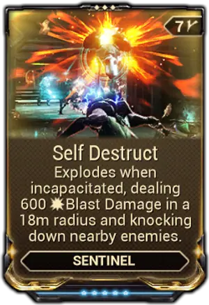 Self Destruct mod card